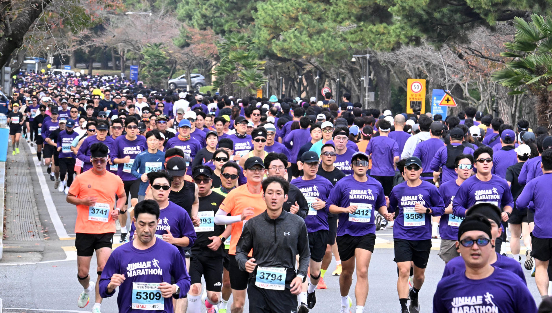 진해마라톤 공식 대회 현장 사진